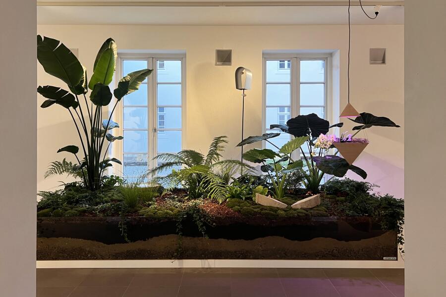 Grüne Pflanzen in einem großen Beet im Ausstellungraum